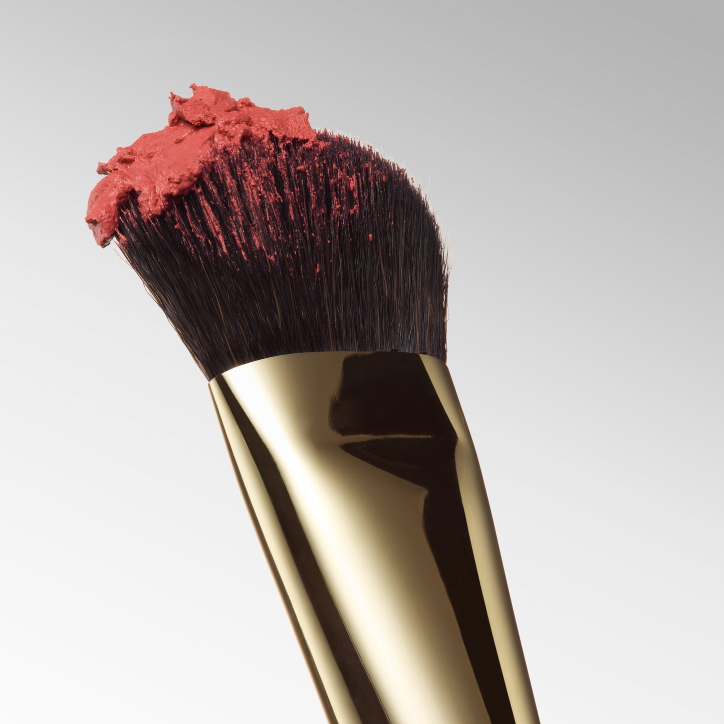 Blush & Blur Brush