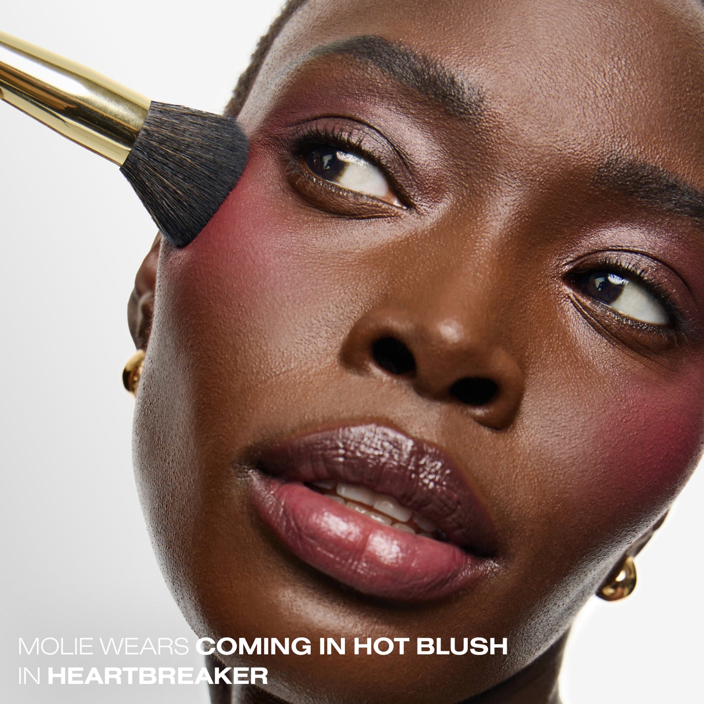 Blush & Blur Brush