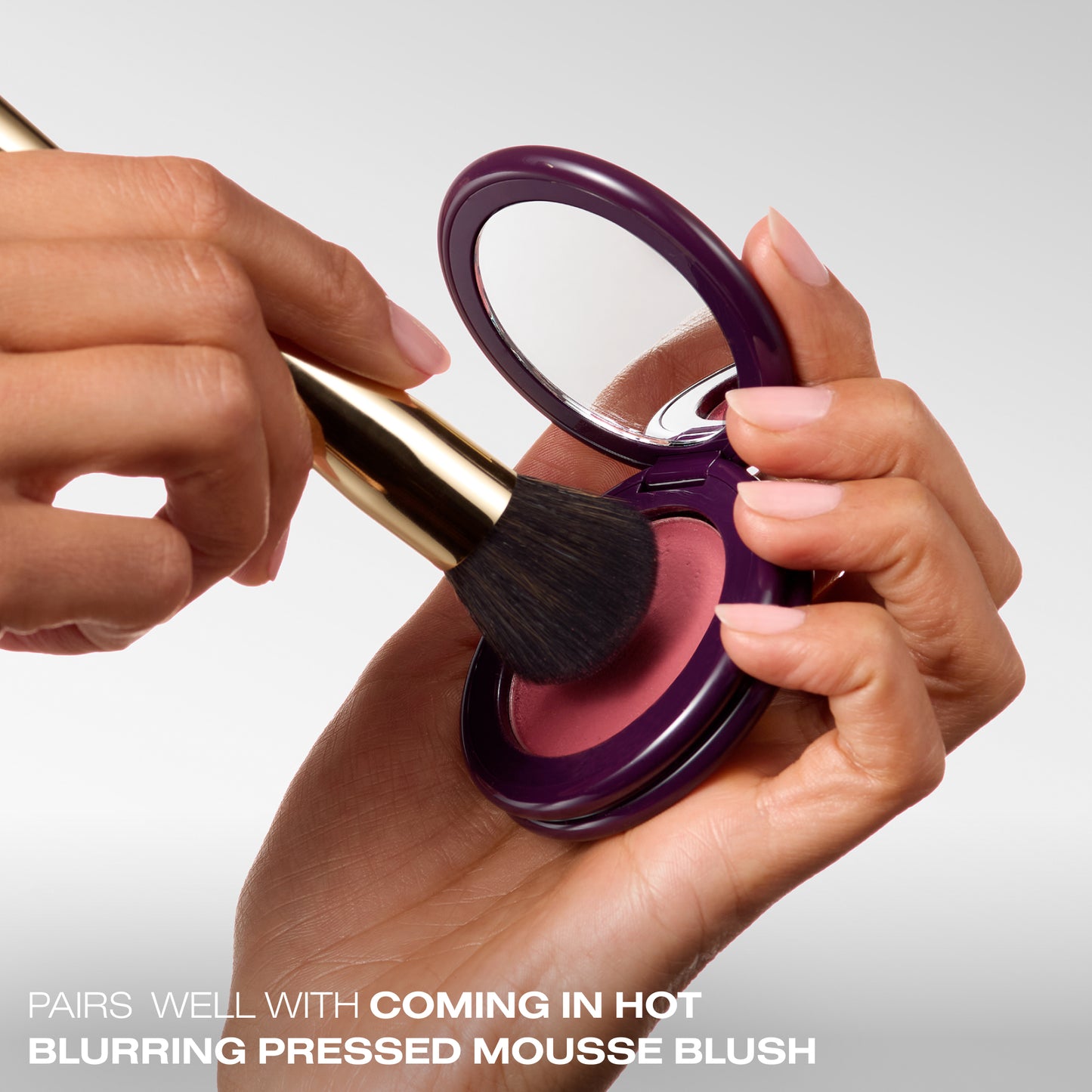 Blush & Blur Brush